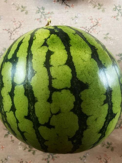 吃瓜如何表演,吃瓜群众如何化身表演达人