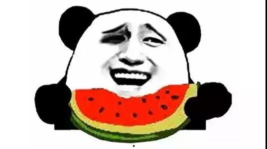 大脸猫咪加入吃瓜群众,趣味横生围观娱乐圈风云