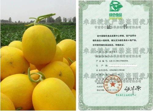 吃蜜瓜嗓子齁,夏日消暑美食的甜蜜陷阱