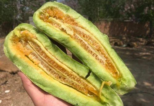 羊角脆瓜怎么吃不苦,轻松享受清甜口感