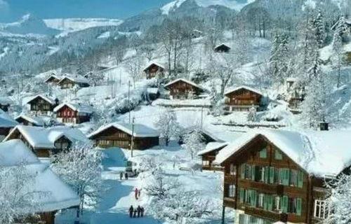 漠河文旅吃瓜,吃瓜之旅,探寻边陲小镇的独特风味