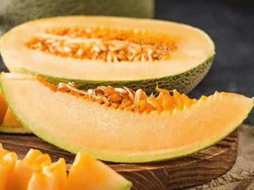 瓜州吃瓜就是甜,吃瓜不止甜，瓜州美食之旅