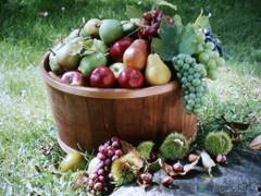 ccggpro吃瓜,揭秘娱乐圈背后的那些事儿