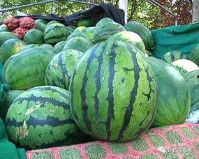 水汽大的瓜怎么吃