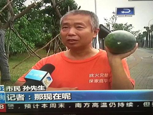 吃瓜事件照片,吃瓜群众视角下的娱乐圈瞬间