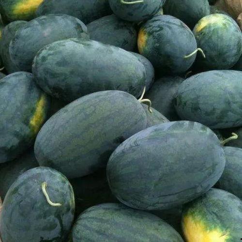 潍城区吃瓜,探寻潍城区的夏日吃瓜盛宴