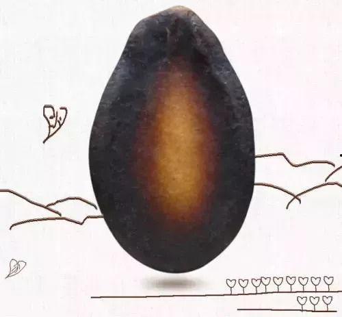 吃瓜不吐籽肚子长瓜