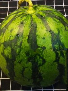 q q吃瓜,网络社交的趣味与争议