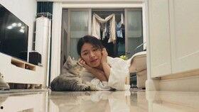 小西吃瓜视频,揭秘娱乐圈幕后故事