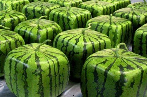 全网精选吃瓜,揭秘娱乐圈幕后故事