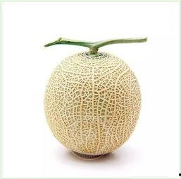 吃瓜群众专用头像图,揭秘吃瓜群众专用头像图背后的文化现象