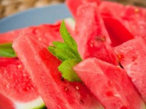 吃瓜的样子画画,一图看尽吃瓜众生相