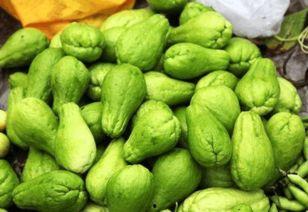 东东团吃瓜,揭秘娱乐圈背后的那些事儿