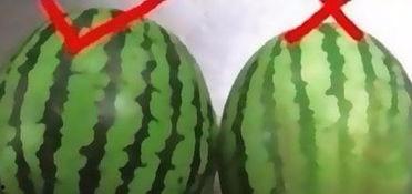 吃瓜群众小秘诀,轻松成为社交达人