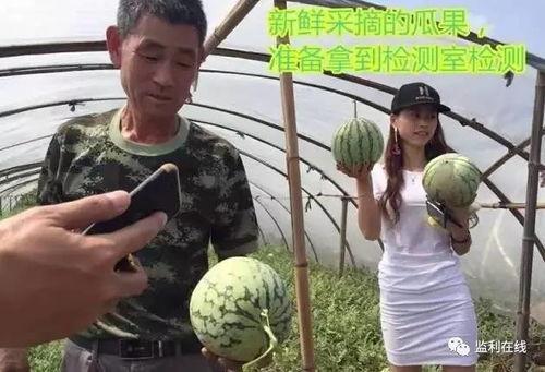 直播吃瓜群众趣事,网络狂欢背后的欢乐与尴尬