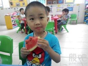 小猫吃绿色的瓜