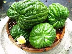 广州吃货凉瓜,凉瓜的独特风味之旅