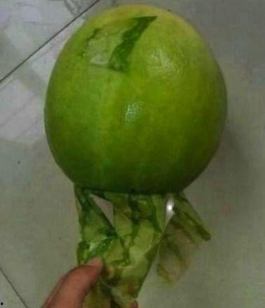 九一今日吃瓜事件,揭秘网络舆论的狂欢与反思