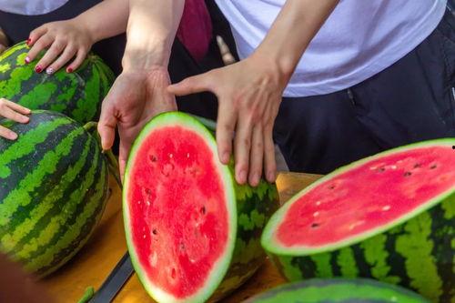 吃瓜某学校,吃瓜群众眼中的校园风云录