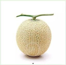 瓜岛上的吃瓜群众,揭秘吃瓜群众的日常