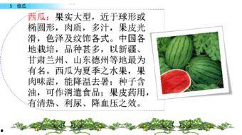 吃瓜100页ppt事件,揭秘网络舆论背后的真相与反思