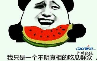 卖衣服吃瓜啥意思